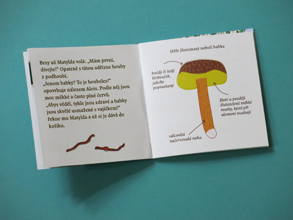 Kniha Matylda na houbách je i mini-atlasem hub - seznamuje s babkou, neboli hřibem žlutomasým